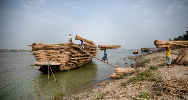 Bangladesh has transformed itself from a largely agrarian society, where agriculture was the principal source of both GDP and household income. Photo: Mumit M/TBS